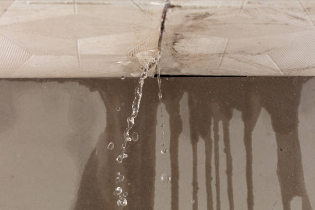 Professional Burst Pipe Cleanup technician working in Cripple Creek, CO
